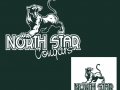 NORTH-STAR16