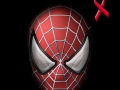 WBR SPIDEY 14
